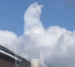 Meet your Posher, Ethan